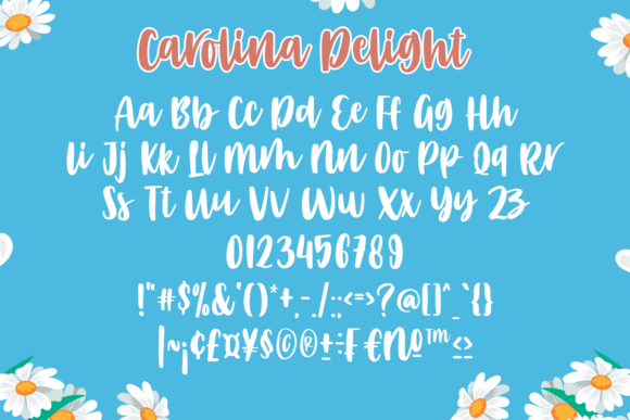 Carolina Delight Font - Preview 1
