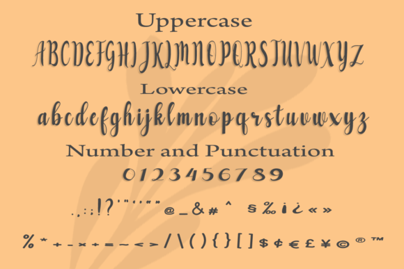 Coverboy Font - Preview 4