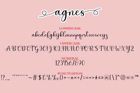 Agnes Font - Preview 4
