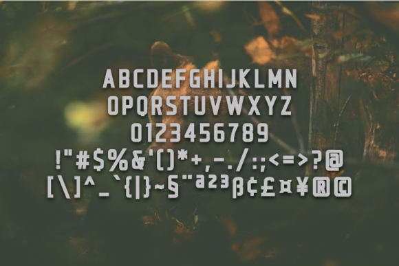 Bellonge Font - Preview 1