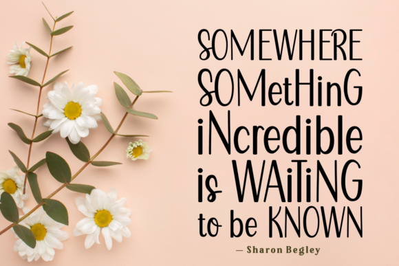 Daisy Story Font PNG with transparent background - Preview 1