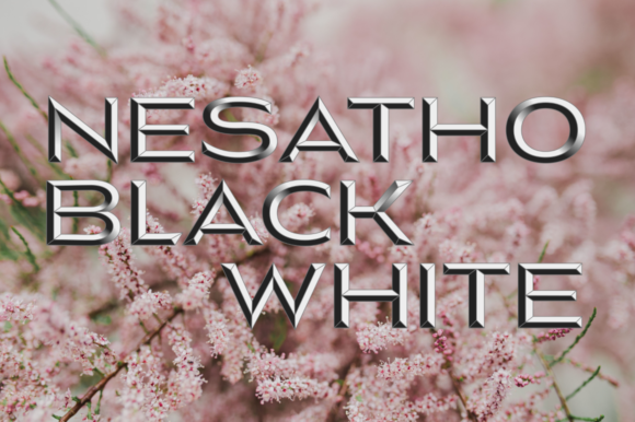 Nesatho-OK Font PNG with transparent background - Preview 1