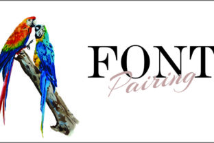 Learn How to Pair Fonts with 25+ Perfect Font Combinations