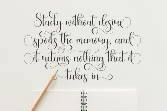 Arabela Script Font - Preview 5