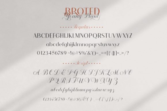 Broted Young Plant Font - Preview 4