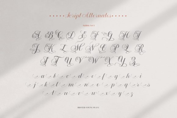 Broted Young Plant Font - Preview 5