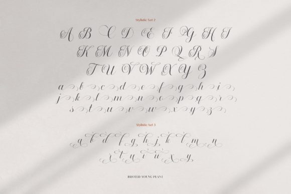 Broted Young Plant Font - Preview 6