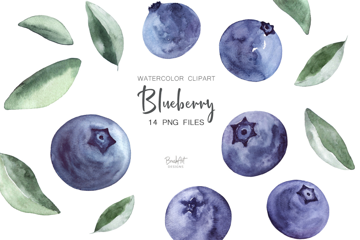 Blueberries Watercolor Clipart - photo 1