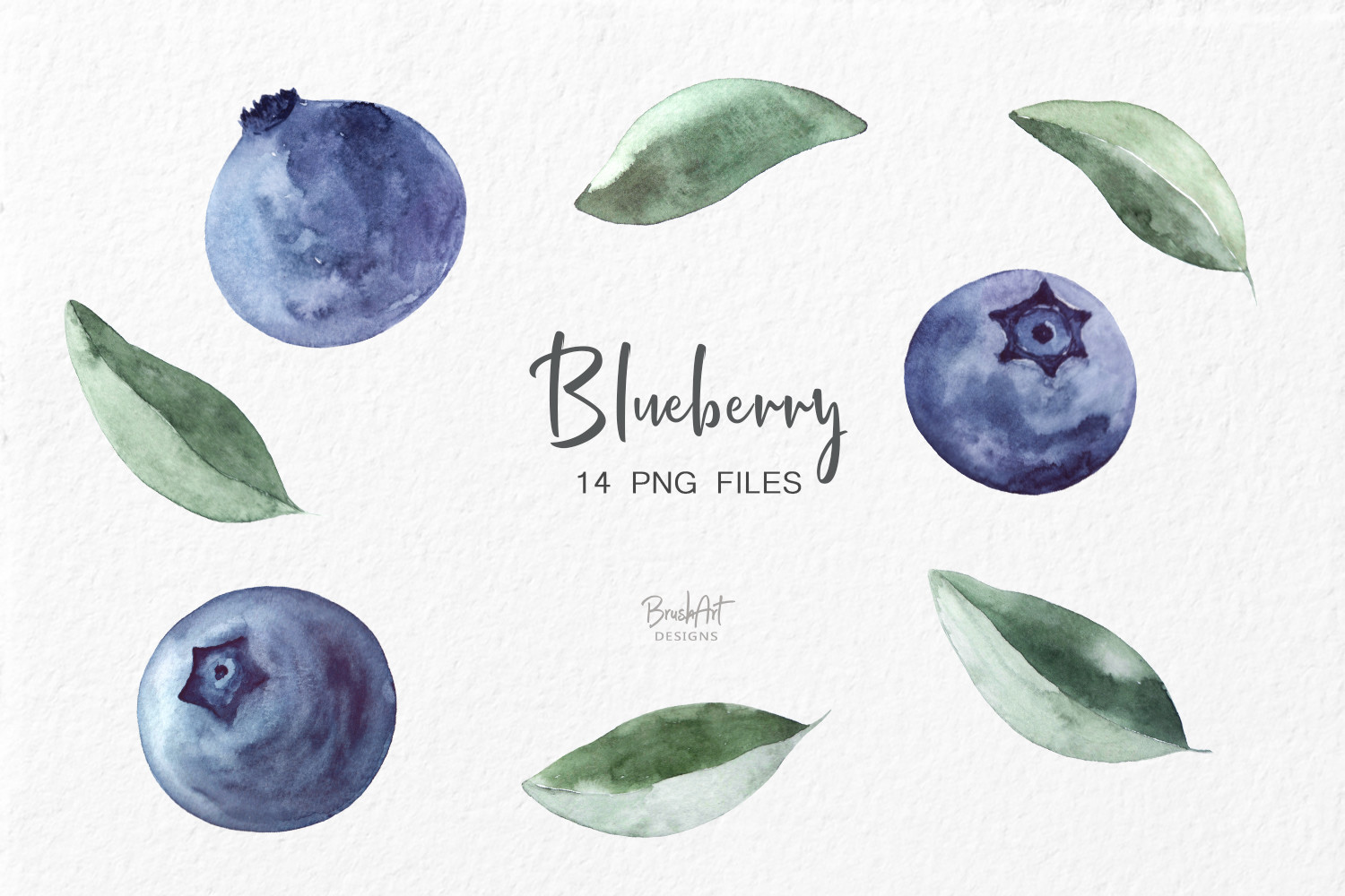 Blueberries Watercolor Clipart - photo 3