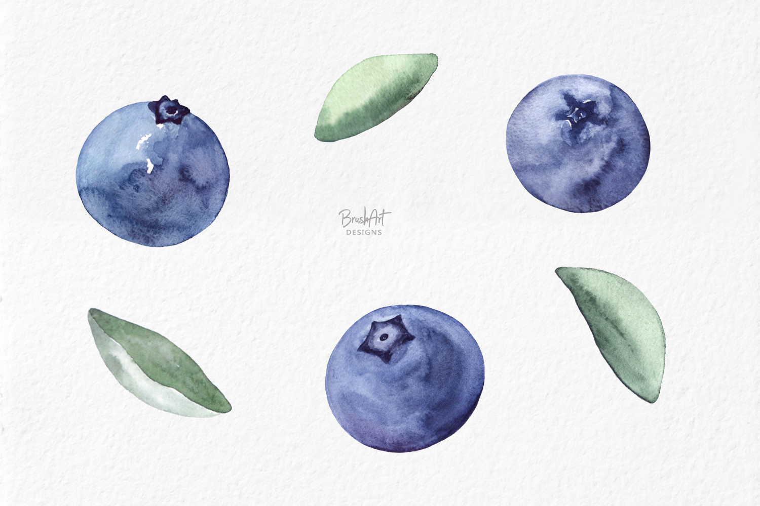 Blueberries Watercolor Clipart - photo 4