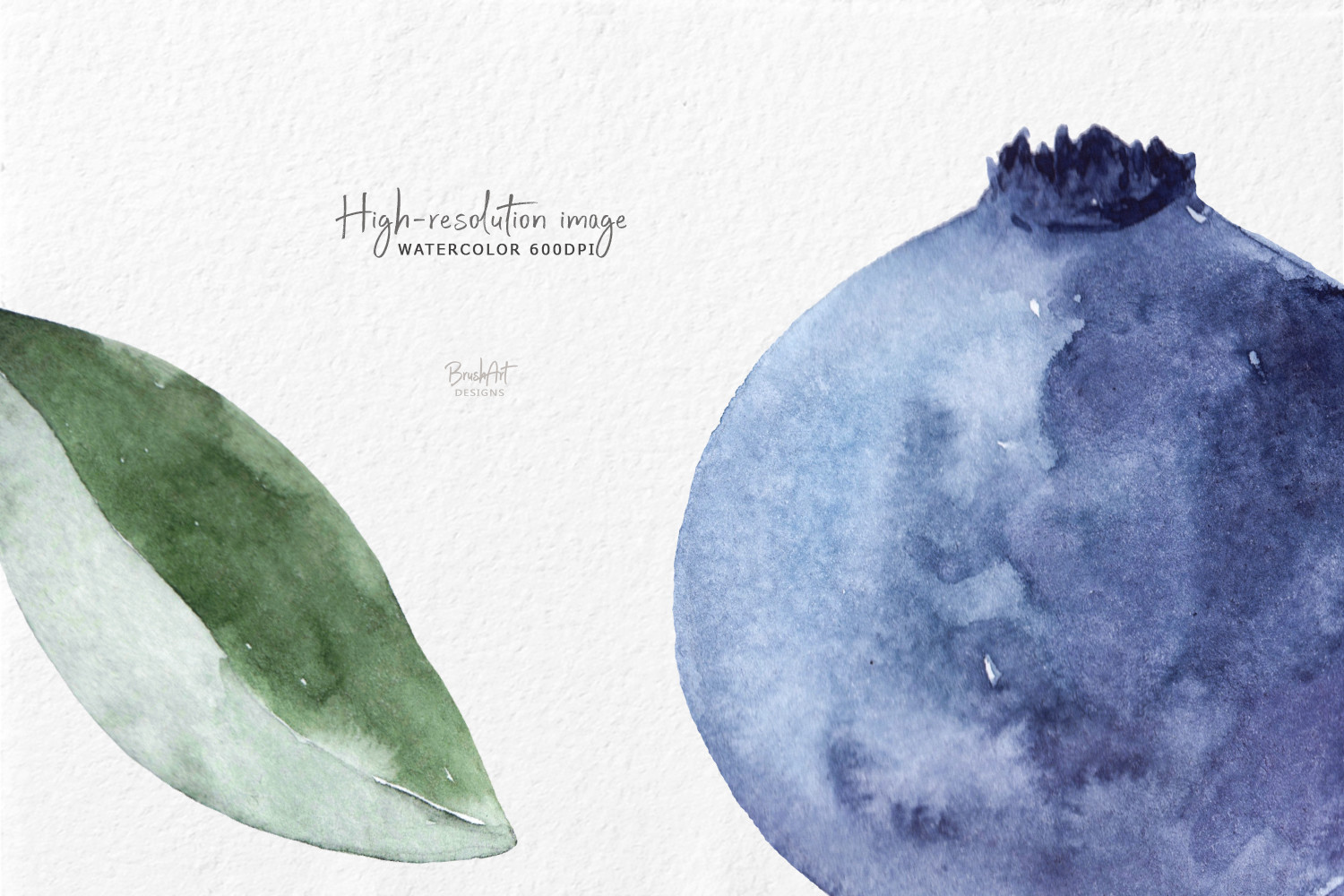 Blueberries Watercolor Clipart - photo 5