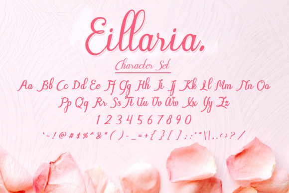 Eillaria Font - Preview 6