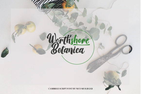 Cambrigo Script Font - Preview 6