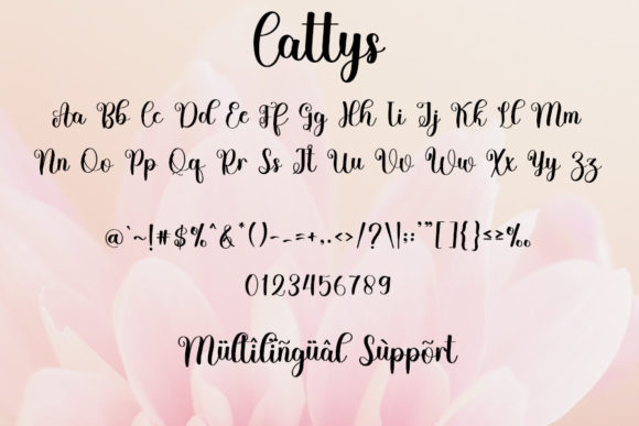 Cattys Font - Preview 6