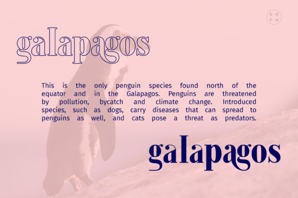 Galapagos Font PNG with transparent background - Preview 3
