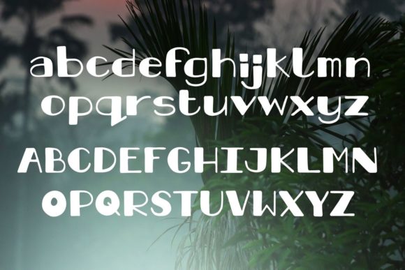 Gecko Font - Preview 1