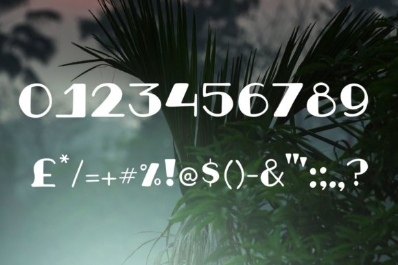 Gecko Font - Preview 2