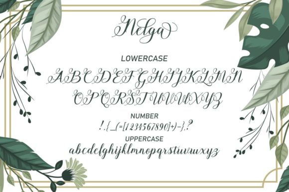 Nelga Script Font PNG with transparent background - Preview 4