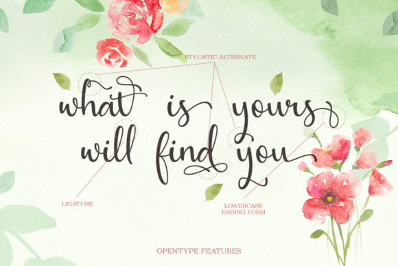 Allana Beauty Font - Preview 1