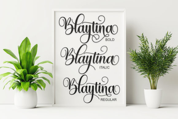 Blaytina Font - Preview 3