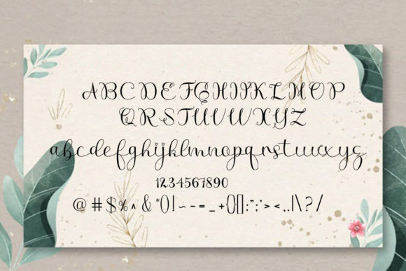Afia Script Font - Preview 3