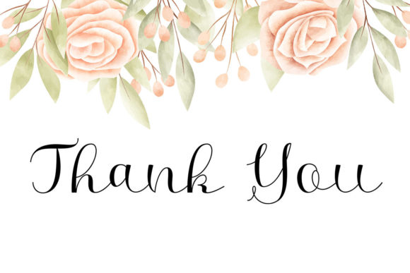 Afia Script Font - Preview 4