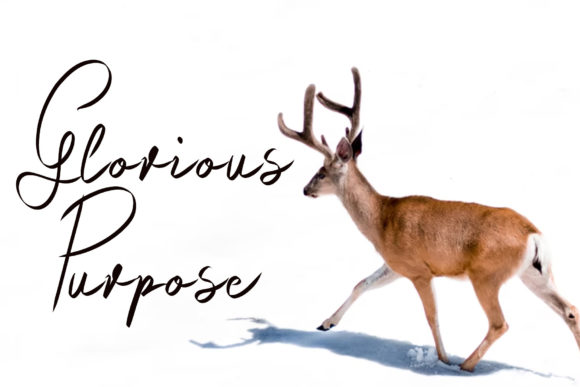 Raindeer Forest Font PNG with transparent background - Preview 4