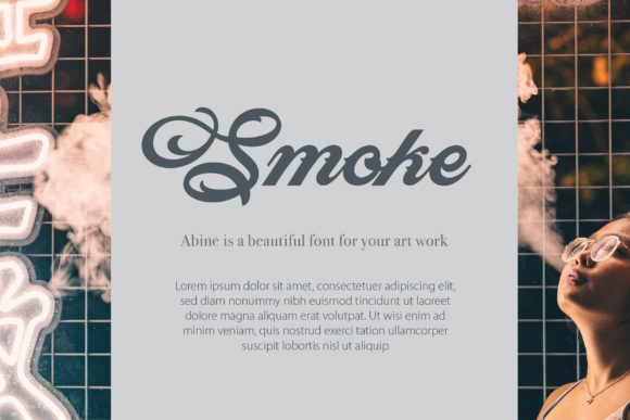 Abine Font - Preview 6