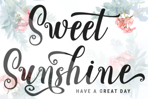 Chameleon Script Font - Preview 2