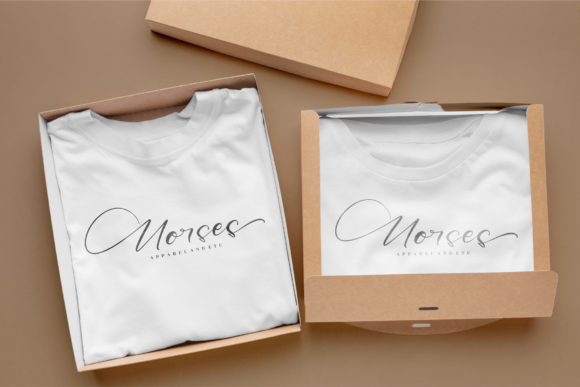 Delmonte Belarina Font - Preview 5