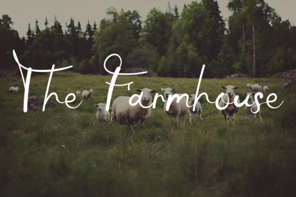 Hey Autography Font font preview - 3