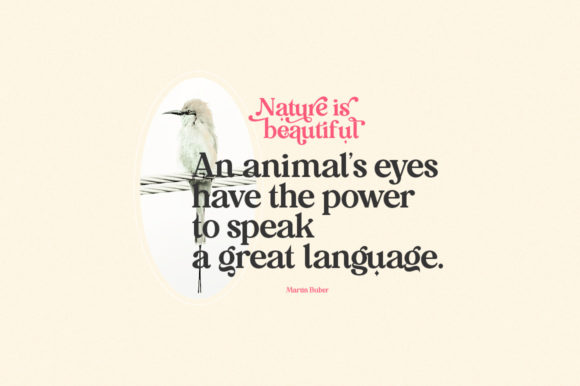 Mitogen Font PNG with transparent background - Preview 6