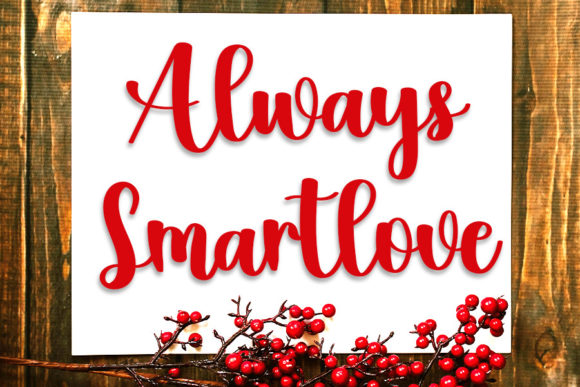 Anitha Font - Preview 3