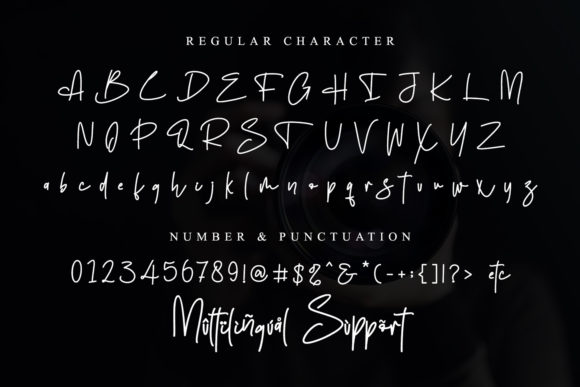 Fillippo Font - Preview 5