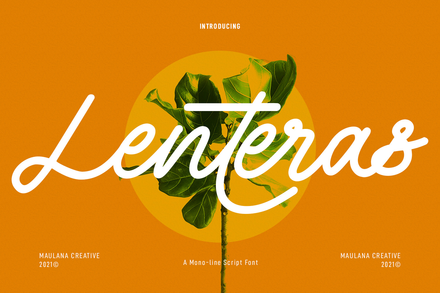 Lenteras Monoline Script preview, vintage monoline script