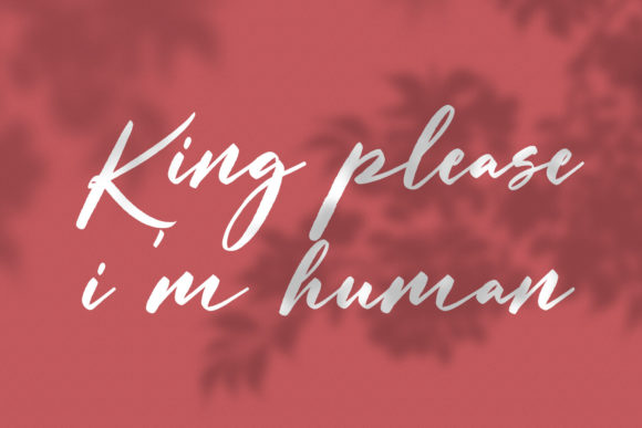 Lillyfleurs Signature Font PNG with transparent background - Preview 4