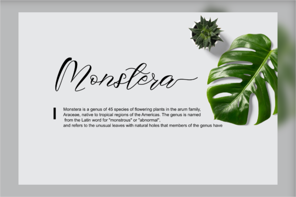 Alexandria Font - Preview 1