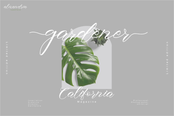 Alexandria Font - Preview 2