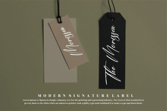 Amsterdam Signature Font - Preview 6