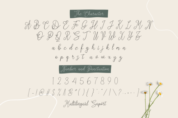Cashman Font - Preview 5