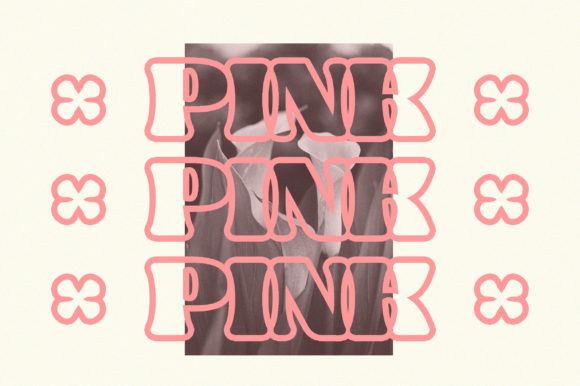 Dried Olive Font - Preview 2
