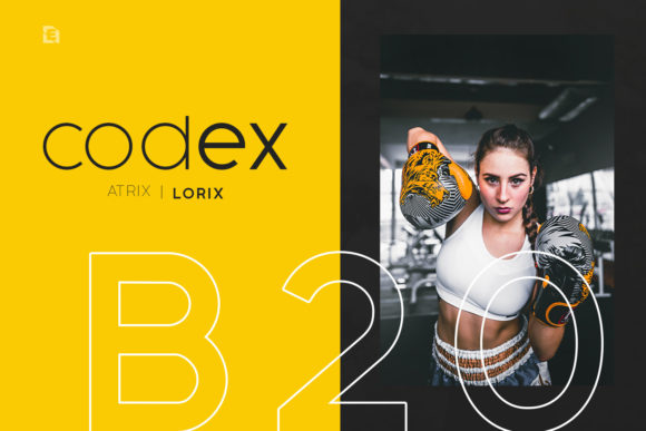 Goloe Font - Preview 4