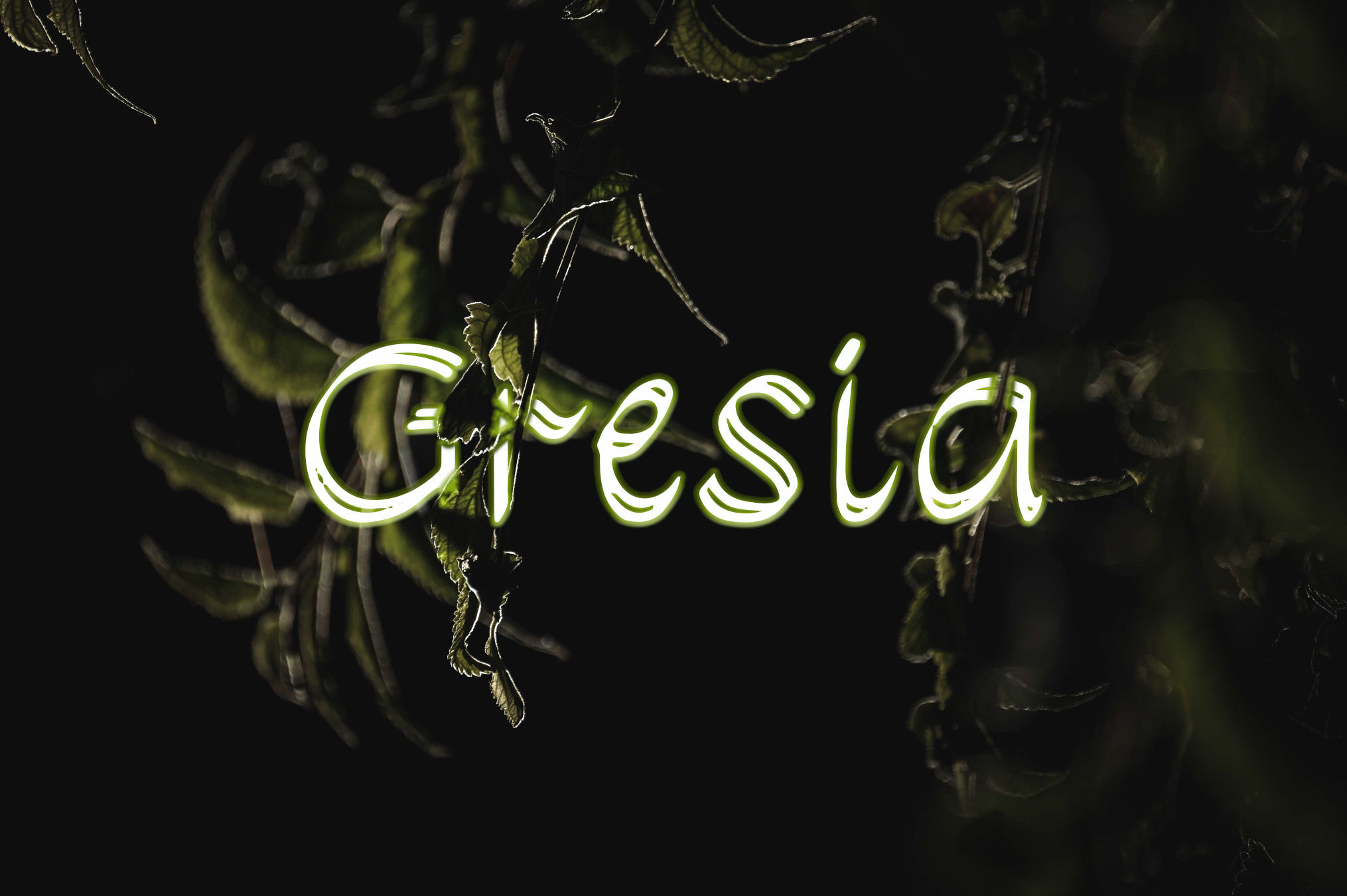 Gresia font preview