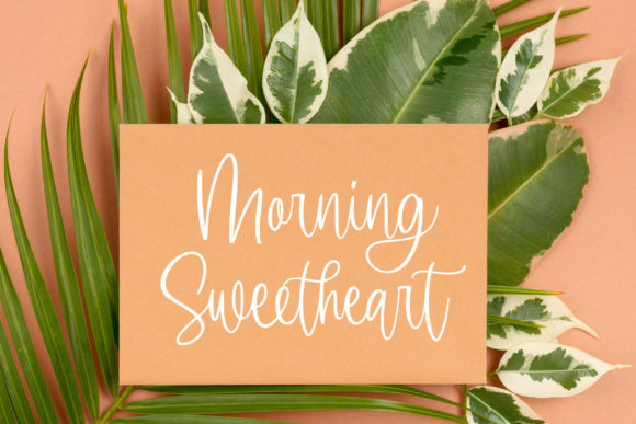 Molliena Font font preview - 4