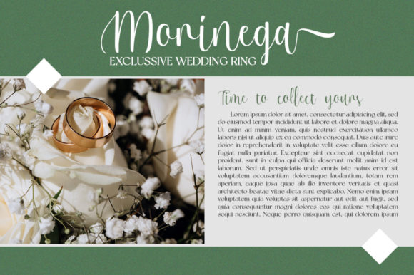Sellena Script Font PNG with transparent background - Preview 6