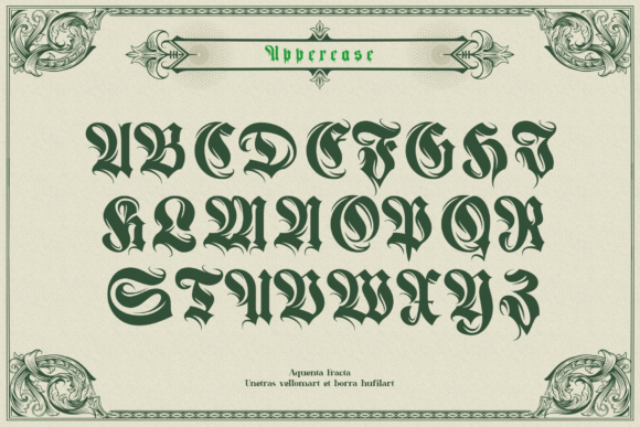 Aquenta Fracta Font - Preview 5