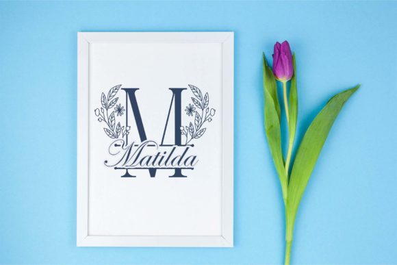 Blue Spring Line Monogram Font - Preview 2