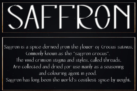 Designer Font - Preview 5