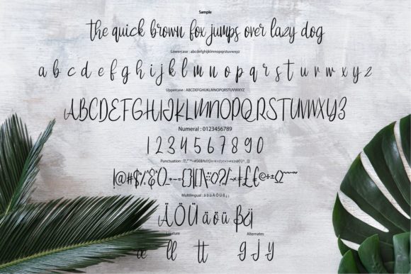 Mattina Font PNG with transparent background - Preview 5