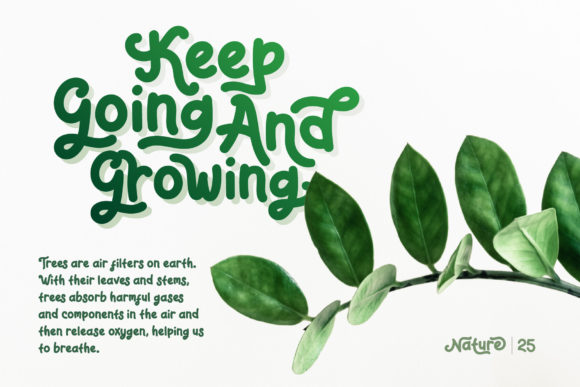 Reaf Singer Font font preview - 4